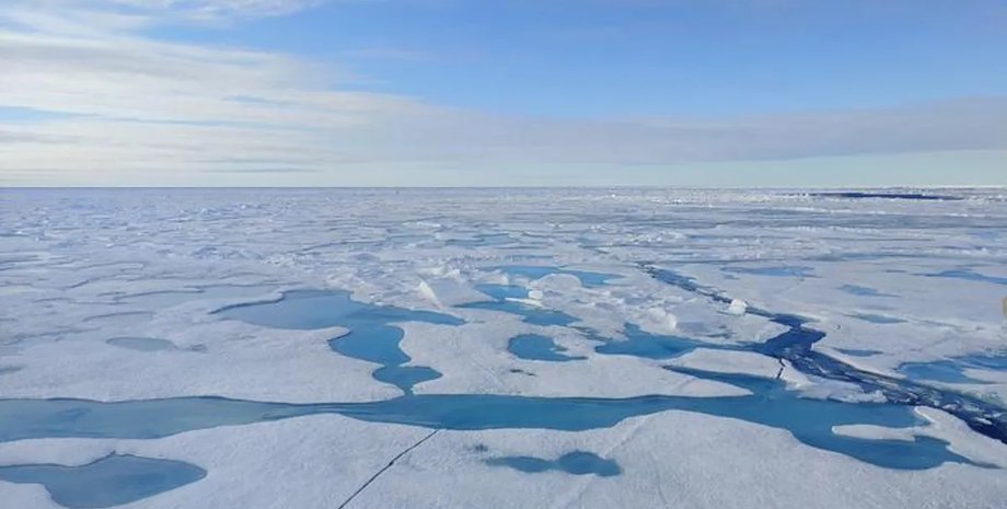 В Арктике тает снег