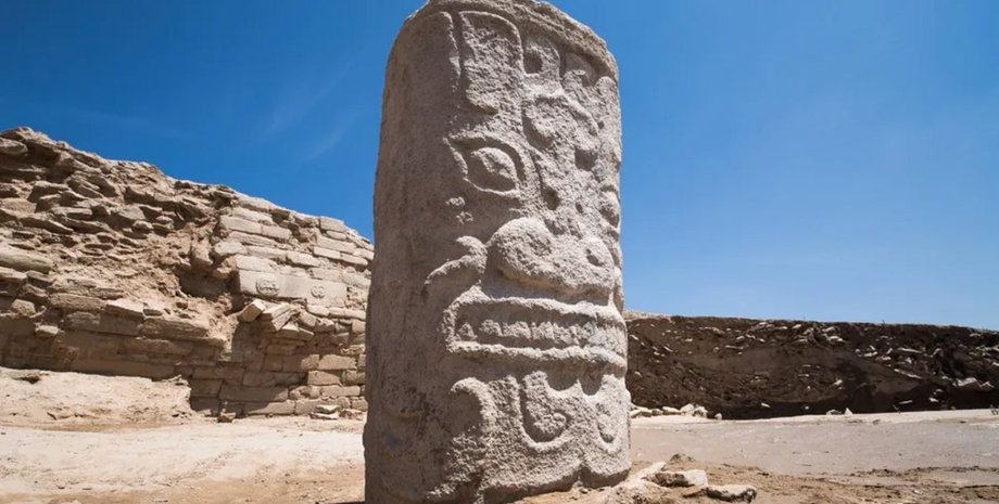 Археологи обнаружили мужские останки