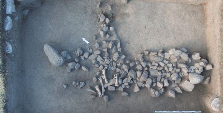 Археологи нашли самое древнее захоронение в стране