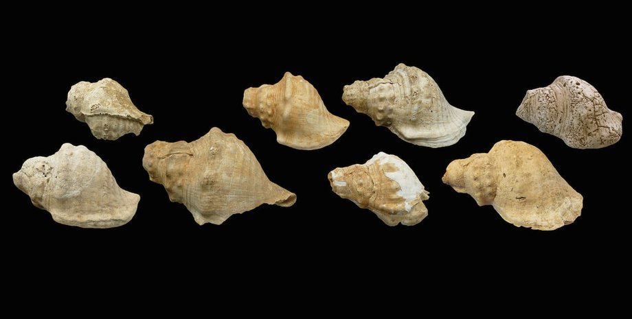 Инструменты издавали громкие звуки