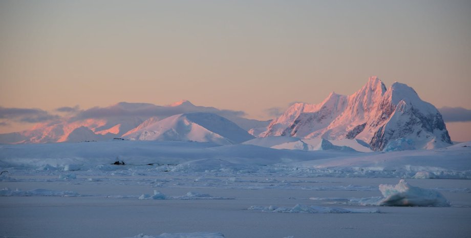 антарктида сигнал