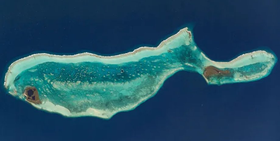 Самого крупного «кита» на Земле видно из космоса: его длина от головы до кончика хвоста около 42 км»>