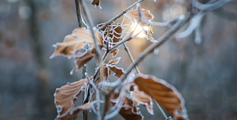 На Европу обрушился самый холодный январь за 16 лет: остальная часть планеты продолжила закипать»>
