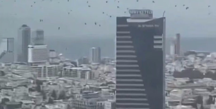 Предвестники настоящей беды: тысячи ворон неожиданно облепили небосклон Тель-Авива (видео)»>