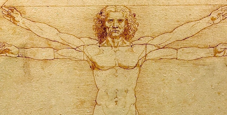 Секрет все время был в паху: разгадана 500-летняя загадка Леонардо да Винчи (видео)»>