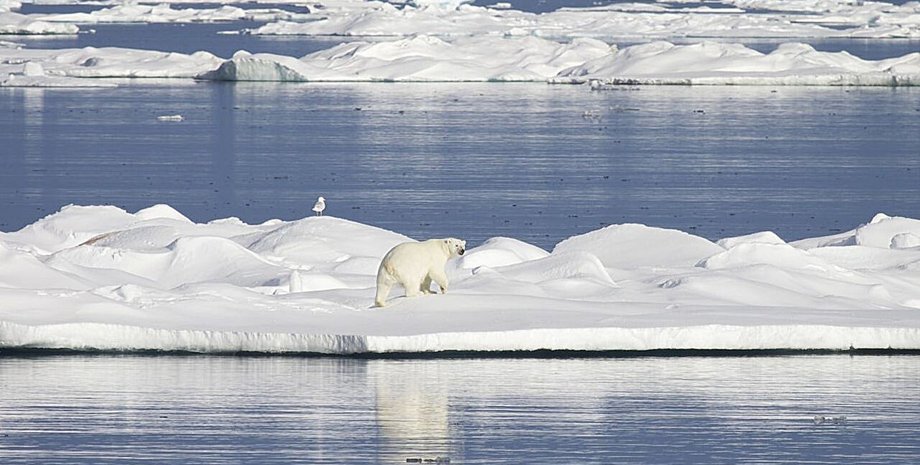 Северный Ледовитый океан прослушивали 10 лет: услышанное встревожило ученых»>
